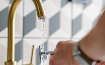 Safety Razor for the genital area