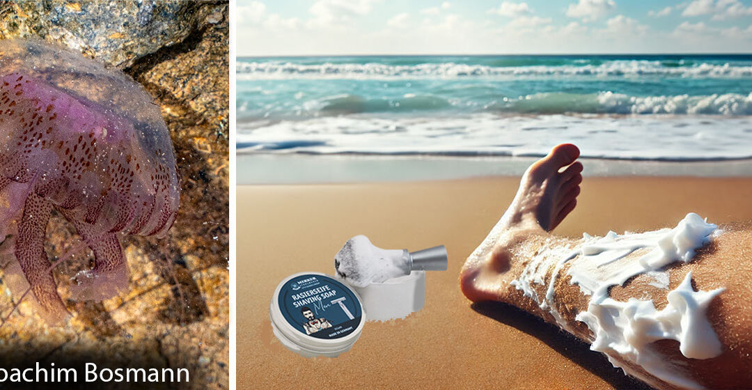 Shaving Foam against Jellyfish stings